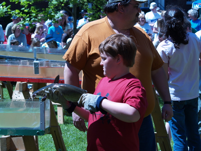 At the World's Biggest Fish Fry, "Capt'n, There Be Catfish Races!" Clarksville, TN Online