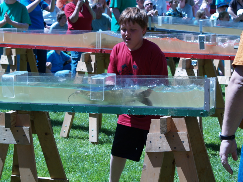 At the World's Biggest Fish Fry, "Capt'n, There Be Catfish Races!" Clarksville, TN Online