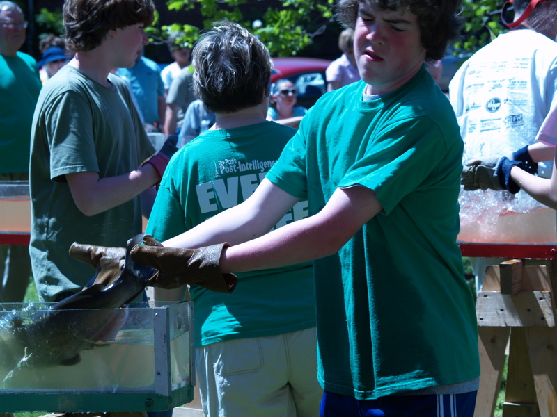 At the World's Biggest Fish Fry, "Capt'n, There Be Catfish Races!" Clarksville, TN Online