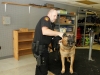 Clarksville Police Service dog getting his K-9 armor put on. (Photo by CPD-Jim Knoll)