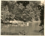 dc-paddle-boats.jpg