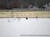 Flooding at Liberty Park