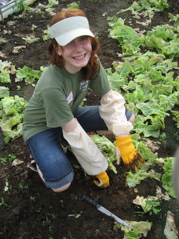 the-food-initiative-5-girl-tending-crop the-food-initiative-5-girl-tending-crop