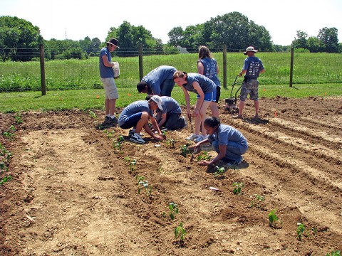 Mission Clarksville Students working in the APSU Victory garden to help feed the area's hungry.