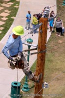 A Lineman looks down at the spectators