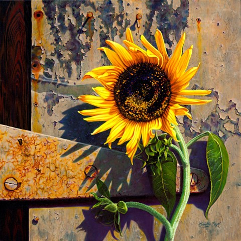 Engel Sunflower