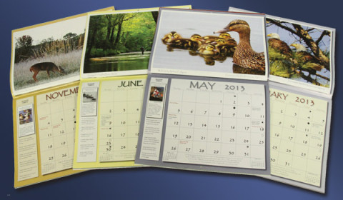 2013-2024 Tennessee Wildlife Calendar Photo Contest 2013-2024 Tennessee Wildlife Calendar Photo Contest