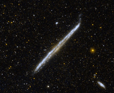 This image from NASA's Galaxy Evolution Explorer shows NGC 4565, one of the nearest and brightest galaxies not included in the famous list by 18th-century comet hunter Charles Messier. (Image credit: NASA/JPL-Caltech)