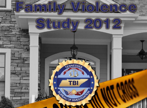 TBI Family Violence Study 2012 TBI Family Violence Study 2012