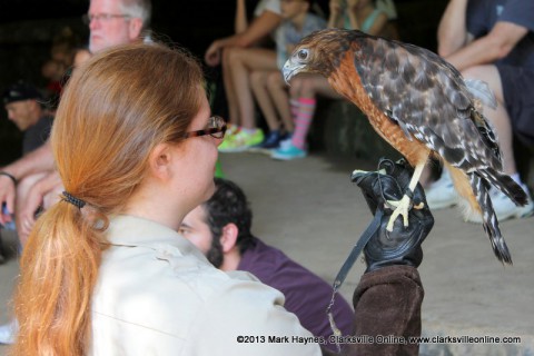 Rebecca Davenport of Paris Landing State Park presents "Birds of Prey" at Dunbar Cave State Park.