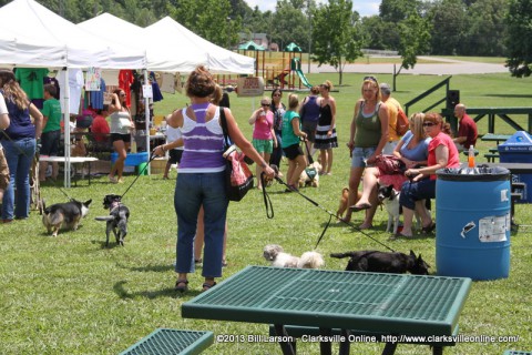 Pets and their owners at Doggie Palooza