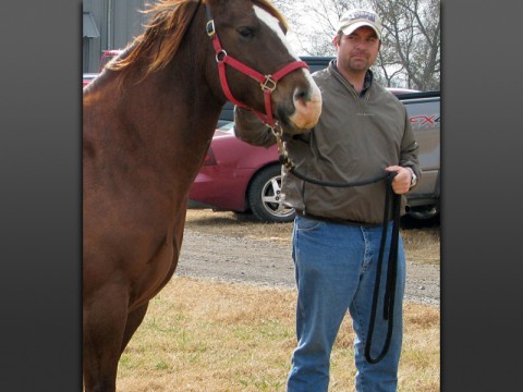 Austin Peay Agriculture professor Dr. Rodney Mills with a brown horse. (APSU)