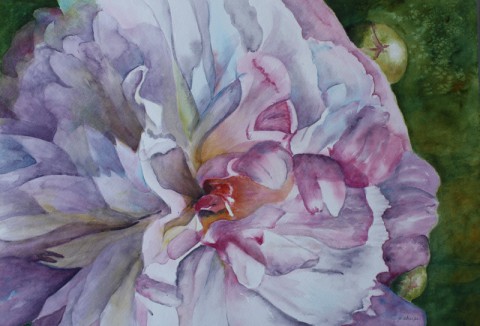 ‘Close-Up’ Watercolors by Patsy Sharpe Exhibit at Planters Bank during March