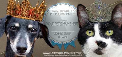 2014 King and Queen of Wags to Witches Pet Photo Contest