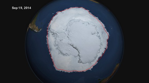 On Sept. 19, 2014, the five-day average of Antarctic sea ice extent exceeded 20 million square kilometers for the first time since 1979, according to the National Snow and Ice Data Center. The red line shows the average maximum extent from 1979-2014. (NASA's Scientific Visualization Studio/Cindy Starr) On Sept. 19, 2014, the five-day average of Antarctic sea ice extent exceeded 20 million square kilometers for the first time since 1979, according to the National Snow and Ice Data Center. The red line shows the average maximum extent from 1979-2014. (NASA's Scientific Visualization Studio/Cindy Starr)