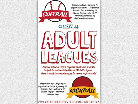 2015 Softball and Kickball Adult Leagues