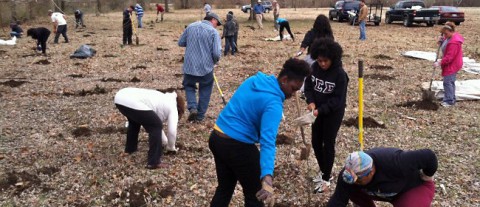 50K Tree Day! Help Us Plant 50,000 Trees in One Hour Across Tennessee