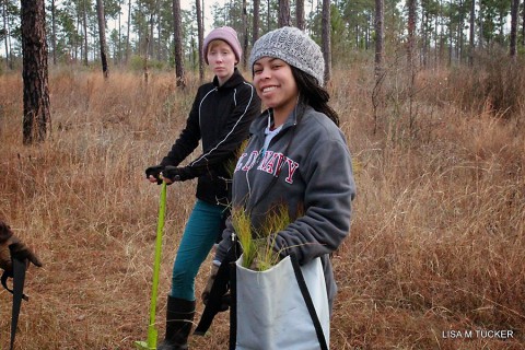 Austin Peay student Brianna Turnbo and Courtney Grisham plants trees in Texas while on winter break from APSU. (Lisa Tucker)