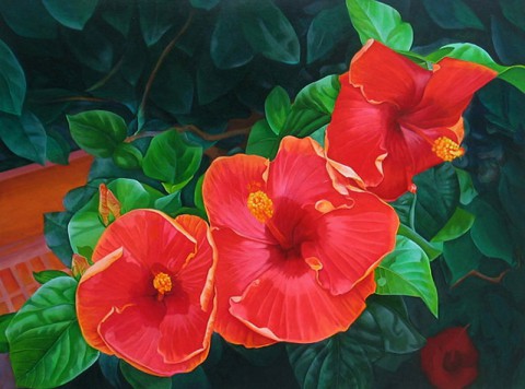 Redhibiscus -  Lisa Ernst