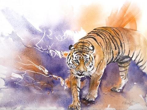 Sumatran Tiger. (Kitty Harvill)