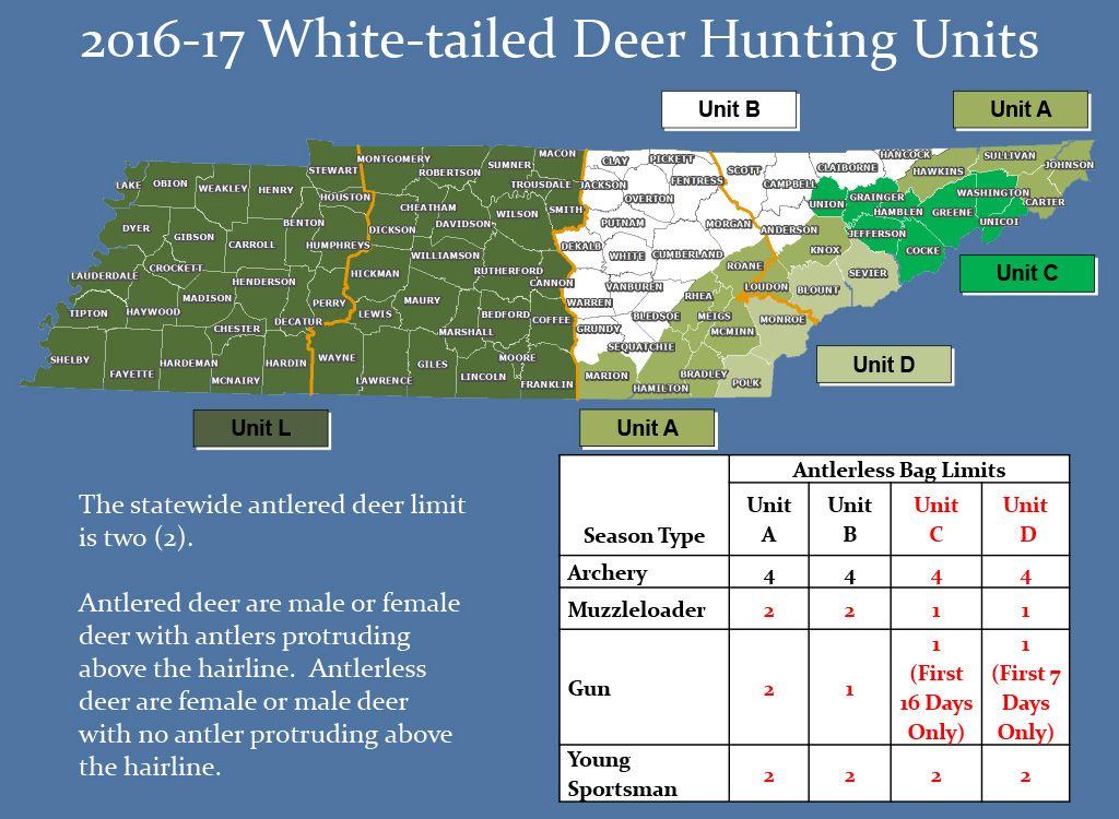Tennessee Deer Season 2025 2025 Cordi Jacinthe