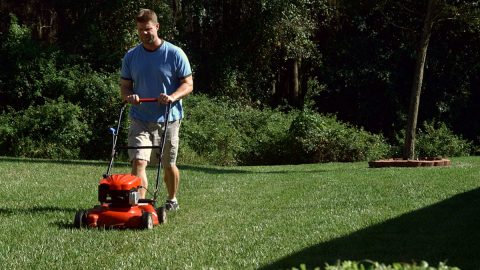 Tennessee Division of Consumer Affairs gives Tips to Avoid Lawn Care Scams. Tennessee Division of Consumer Affairs gives Tips to Avoid Lawn Care Scams.