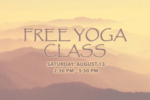 Free Yoga Class at Clarksville-Montgomery County Public Library this Saturday, August 13th