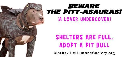 Clarksville’s 4th Annual Pit Bull Awareness Day set for October 16th