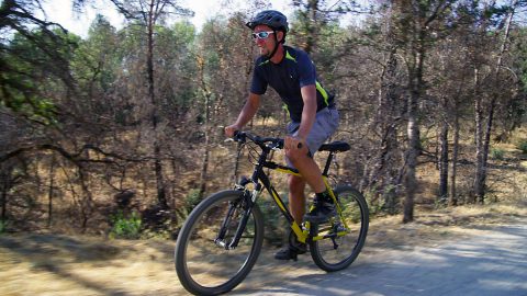 People who bike regularly, either recreationally or as a way to commute, appear to have a lower risk of cardiovascular illness, according to studies conducted in Denmark and Sweden. People who bike regularly, either recreationally or as a way to commute, appear to have a lower risk of cardiovascular illness, according to studies conducted in Denmark and Sweden.