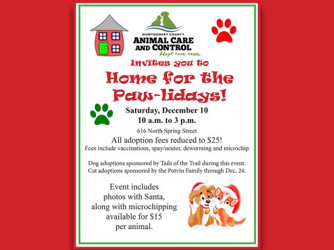 Montgomery County Animal Care and Control Home for the Paw-lidays 2016