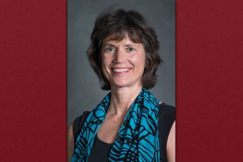 Austin Peay Professor of English literature and Coordinator of the Film Studies Minor, Dr. Jill Franks. Austin Peay Professor of English literature and Coordinator of the Film Studies Minor, Dr. Jill Franks.