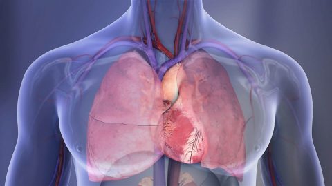 One in 100 cases of cardiac arrest in men was associated with sexual activity, compared with one in 1,000 cases in women. (American Heart Association) One in 100 cases of cardiac arrest in men was associated with sexual activity, compared with one in 1,000 cases in women. (American Heart Association)
