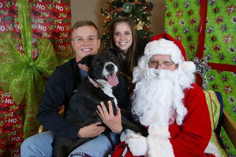 Santa Paws Professional Photos to be taken at the Humane Society of Clarksville-Montgomery County this Sunday, December 3rd. (Picture Your Photo)