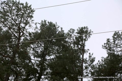 Power lines coated in ice. Power lines coated in ice.
