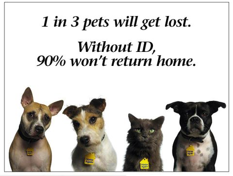 1 in 3 Pets will get lost. Without ID, 90% won't return home. 1 in 3 Pets will get lost. Without ID, 90% won't return home.