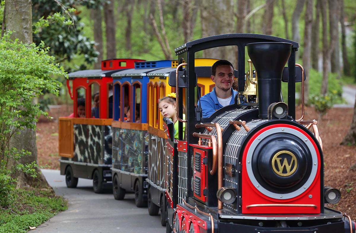 Nashville Zoo Ranks in Top Ten Zoos on Charity Navigator - Clarksville