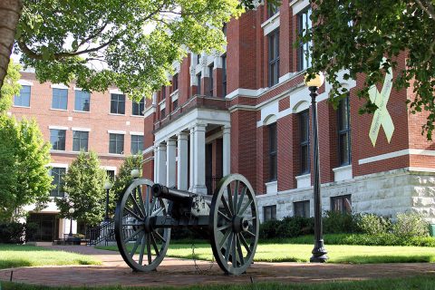 Experience History with the Reading of the Declaration of Independence, Shooting of the Cannon and the Sons of the American Revolution Color Guard.