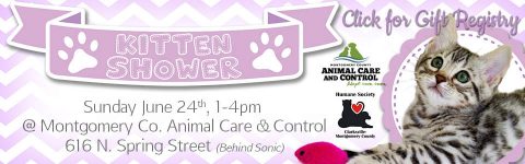 Kitten Shower & Gift Registry set for Sunday, June 24th.