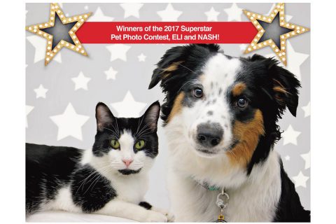 Photo Contest to Select Pet Models for Humane Society of Clarksville-Montgomery County Calendar and Education Billboards. 2018 Calendar superstars, Eli (left) & Nash (right). (Tina Hartman, Picture Your Photo Photography)