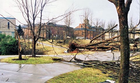 Downed trees littered the APSU campus following the 1999 tornado.