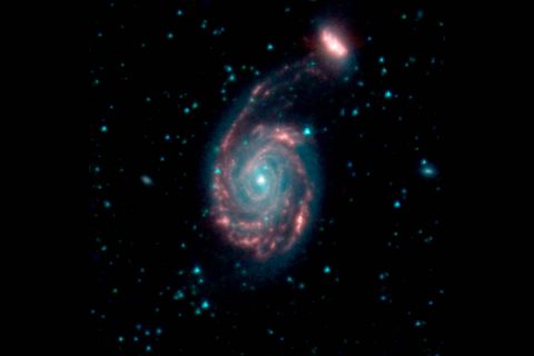 This image shows the merger of two galaxies, known as NGC 7752 (larger) and NGC 7753 (smaller), also collectively called Arp86. In these images, different colors correspond to different wavelengths of infrared light. Blue and green are wavelengths both strongly emitted by stars. Red is a wavelength mostly emitted by dust. (NASA/JPL-Caltech)