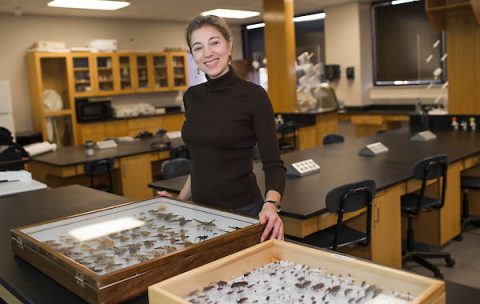 Austin Peay State University professor Dr. Amy Wright.