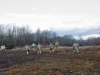 A group of Soldiers from 58th Signal Company, 101st Special Troops Battalion, 101st Airborne Division (Air Assault), run toward a generator that was recently dropped off by an aircraft on Fort Campbell, Ky., March 14, 2016. (U.S. Army Sgt. Neysa Canfield, 101st Sustainment Brigade Public Affairs)