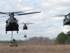 CH 47F Chinook helicopters from 6th Battalion, 101st Combat Aviation Brigade "Wings of Destiny," transport Humvees from the 3rd Battalion, 187th Infantry Regiment, 3rd Brigade Combat Team "Rakkasans," 101st Airborne Division (Air Assault), into Landing Zone Red Crow during the full dress rehearsal for Operation Golden Eagle here April 4, 2014.  (Photo by Staff Sgt. Joel Salgado, 3rd BCT Public Affairs)