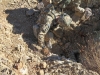 Sgt. Nathan Fleshman, an infantryman assigned to Company C, 3rd Battalion, 187th Infantry Regiment, 3rd Brigade Combat Team “Rakkasans,” 101st Airborne Division (Air Assault), helps Pvt. Stephen Munoz, also an infantryman with Company C, investigate a small cave for weapons and insurgent activity near Combat Outpost Bowri Tana, Afghanistan, Nov. 30th, 2012. (U.S. Army photo by Sgt. 1st Class Abram Pinnington, Task Force 3/101 Public Affairs)