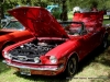 108th annual Lone Oak Picnic