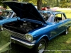 108th annual Lone Oak Picnic