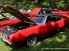 108th annual Lone Oak Picnic