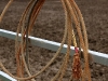 A rope stands ready
