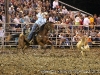A calf tries a dodge to the right